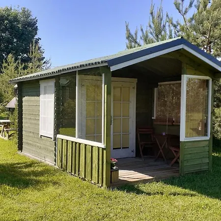 Kastani * ハープサル