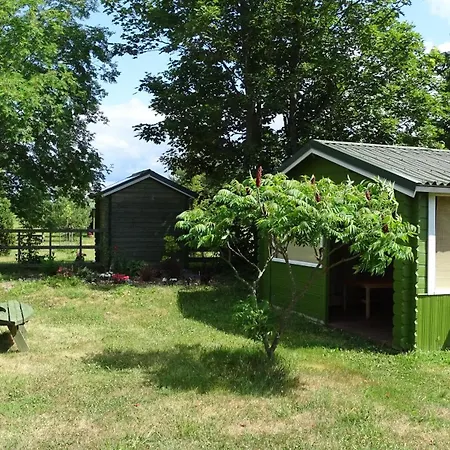 Kastani ハープサル