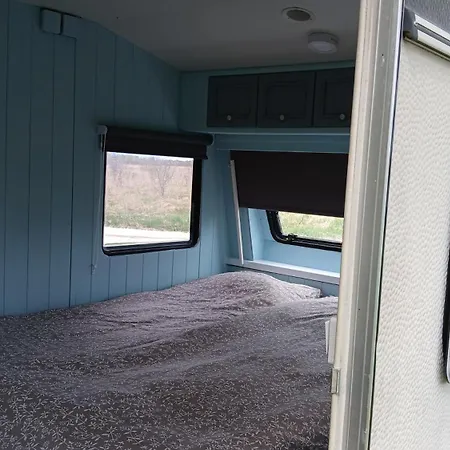 Kastani ハープサル